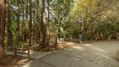 The Reserve at Mountain View Apartments - Neighborhood