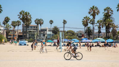 Mariposa at Playa del Rey Apartments - Neighborhood 