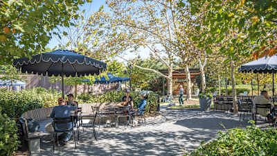 Water Park Towers Apartments - Neighborhood
