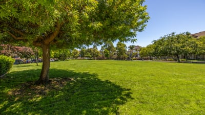 Park Place at San Mateo Apartments - Neighborhood