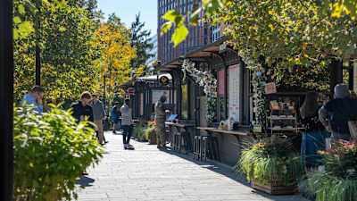 Water Park Towers Apartments - Neighborhood