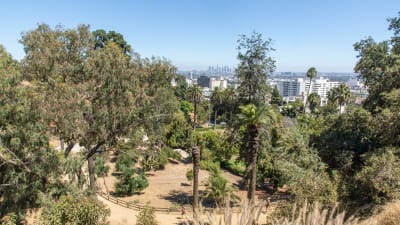 Vantage Hollywood Apartments - Neighborhood