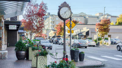 Venn at Main Apartments - Neighborhood