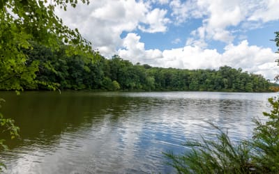 Axis at Shady Grove Apartments - Waterfront Activities