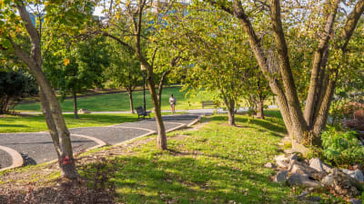 The Dalton Apartments - Neighborhood