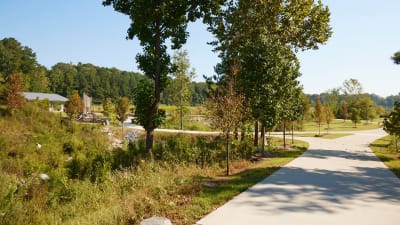 Osprey Apartments - Neighborhood