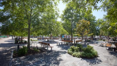 Juniper Sandy Springs Apartments - Neighborhood