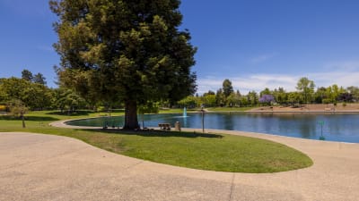 Arbor Terrace Apartments - Neighborhood