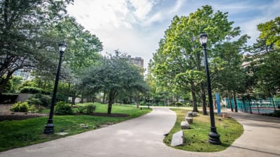 Emerson Place Apartments - Neighborhood 