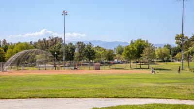 Northglen Apartments  - Neighborhood 