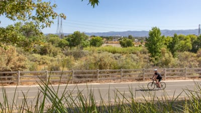 Northglen Apartments  - Neighborhood 